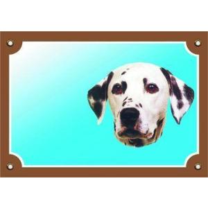 Barevná cedulka Pozor pes, Dalmatin
