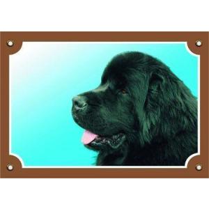 Barevná cedulka Pozor pes, Novofundlanský pes černý
