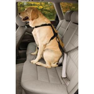 Bezpečnostní autopás pro psa s ouškem Kurgo Seatbelt Tether
