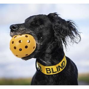 Děrovaný míč s rolničkou, pro slepé psy, 7 cm