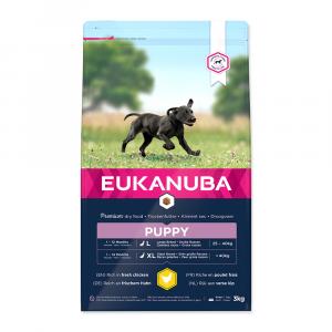 Eukanuba Puppy & Junior Large 3 kg