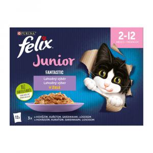Felix Fantastic Junior hovězí / kuře / sardinky / losos v želé Multipack 12 x 85 g