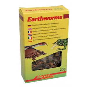 Lucky Reptile Earthworms 10g