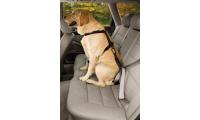 Ilustrační obrázek Bezpečnostný autopás pre psa s uškom Kurgo Seatbelt Tether