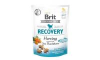 Ilustrační obrázek Brit Care Dog Functional Snack Recovery Herring 150g
