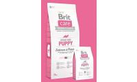 Ilustrační obrázek Brit Care Dog Grain-free Puppy Salmon & Potato 1kg