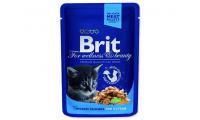 Ilustrační obrázek BRIT Premium Kitten Chicken Chunks 100g
