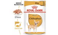 Ilustrační obrázek ECO PACK Royal Canin Chihuahua 12 x 85 g