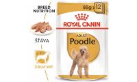 Ilustrační obrázek ECO PACK Royal Canin Poodle 12 x 85 g