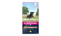 Ilustrační obrázek Eukanuba Junior Large Breed 15 kg