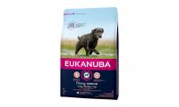 Ilustrační obrázek Eukanuba Senior Large Breed 3 kg