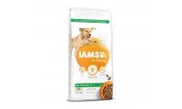 Ilustrační obrázek IAMS Dog Adult Large Lamb 12kg