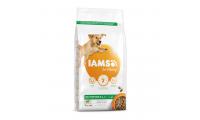 Ilustrační obrázek IAMS Dog Adult Large Lamb 3kg