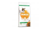 Ilustrační obrázek IAMS Dog Adult Small & Medium Lamb 12kg