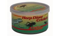 Ilustrační obrázek Lucky Reptile Herp Diner - cvrčky 35g - veľkí
