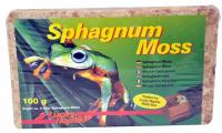 Ilustrační obrázek Lucky Reptile Sphagnum Moss 100 g