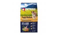 Ilustrační obrázek ONTARIO Puppy Medium Lamb & Rice 6,5 kg