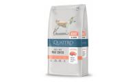 Ilustrační obrázek QUATTRO Dog Dry Premium All Breed Adult Losos 3kg