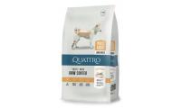 Ilustrační obrázek QUATTRO Dog Dry Premium Maxi Adult 12kg