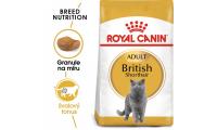 Ilustrační obrázek Royal Canin British Shorthair 2 kg + „RC Zásobník na krmivo ZADARMO“