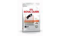 Ilustrační obrázek Royal Canin Energy 4100 15 kg