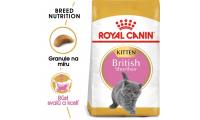 Ilustrační obrázek Royal Canin Kitten British Shorthair 2 kg + „RC Zásobník na krmivo ZADARMO“
