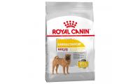Ilustrační obrázek Royal Canin Medium Dermacomfort 10 kg