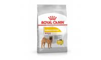 Ilustrační obrázek Royal Canin Medium Dermacomfort 12 kg