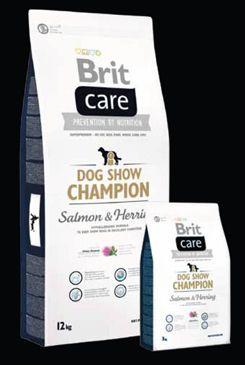 brit care champion