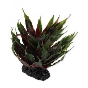 Rostlina REPTI PLANET sukulent Agave zelená 18 cm