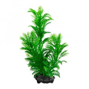 Rostlina TETRA Green Cabomba S