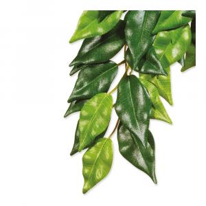 Rostlina textilní Ficus střední 55 cm 1ks