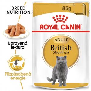 Royal Canin British Shorthair 12 x 85 g