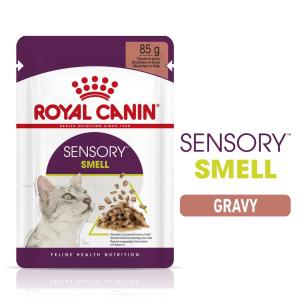 Royal Canin FHN Sensory Smell gravy kapsička 12 x 85 g